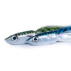 7" BLUE-BACK MACKEREL