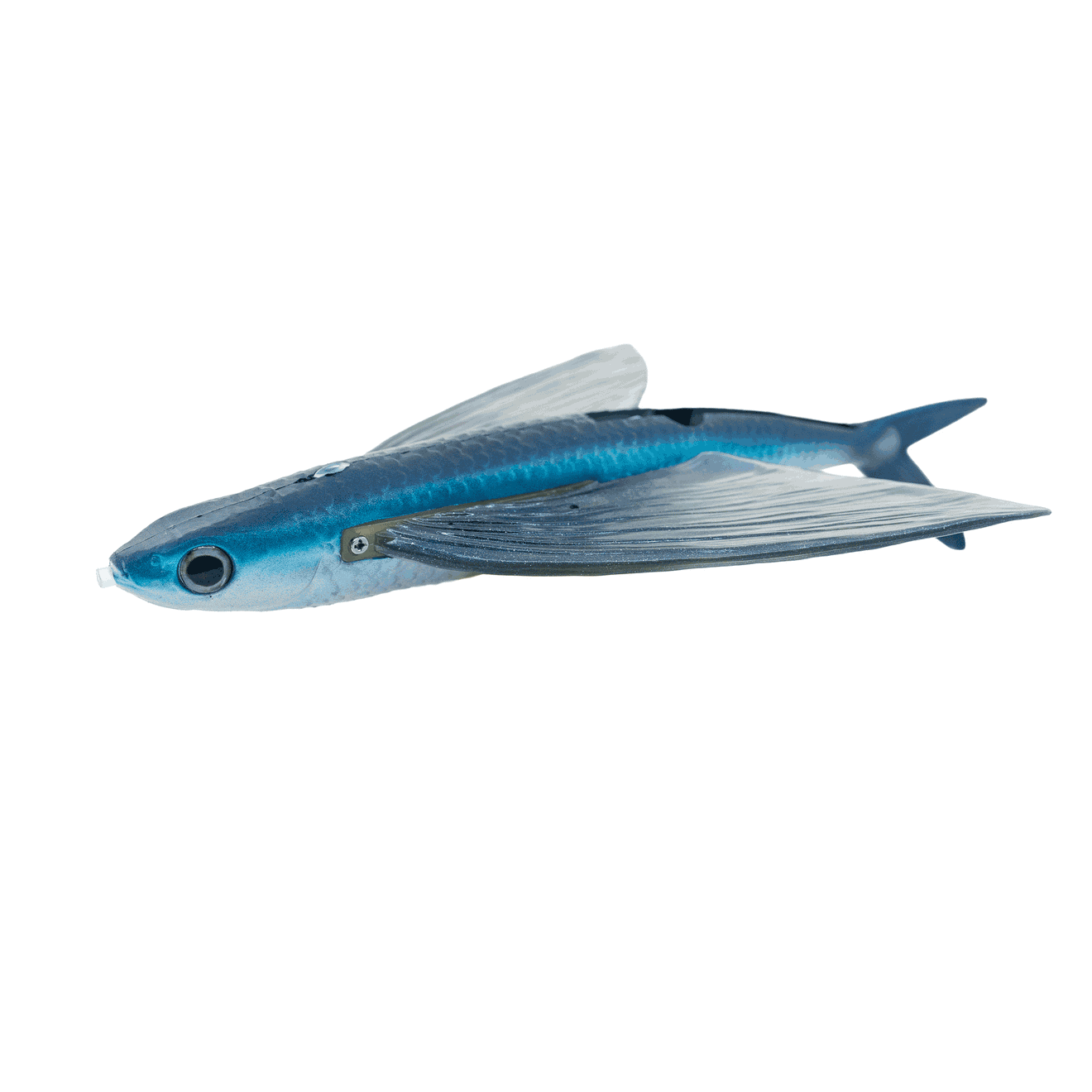 california flyer flying fish lure MagBay Lures 8" Yummee Rigged with Stinger Hook Tuna Lure : Sports & Outdoors The Islamorada Flyer California flyer company | Bloodydecks