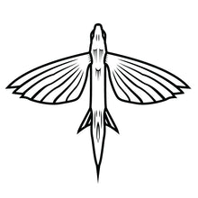  Vinyl Transfer Decals