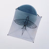Light Wind Condition Fishing Kite